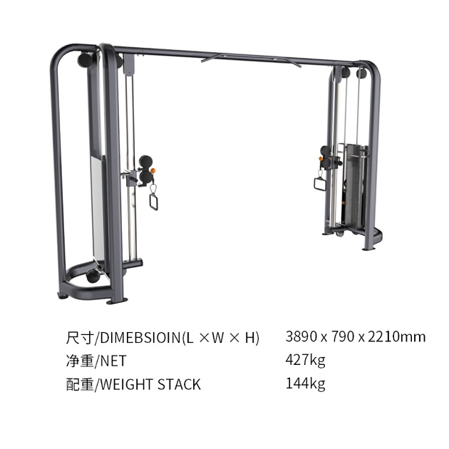 1589876204157075.jpg C117S大飛鳥.jpg